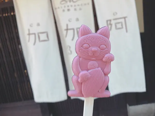 加加阿ちゃんスティックチョコレート