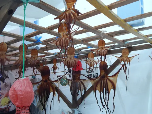 ひっぱりダコ🐙