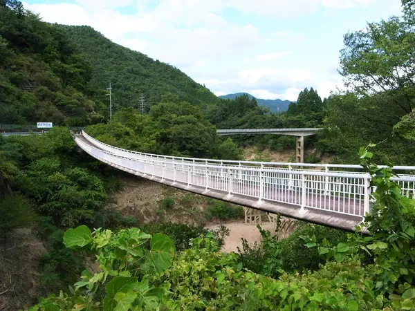 横から