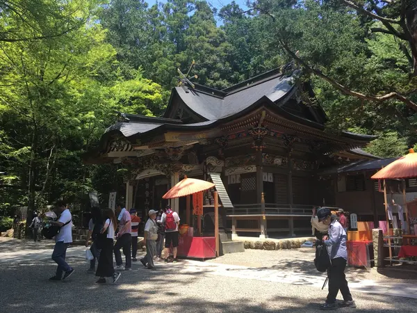 金運みくじ