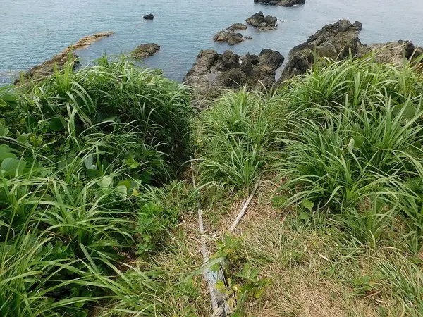 岬の先端