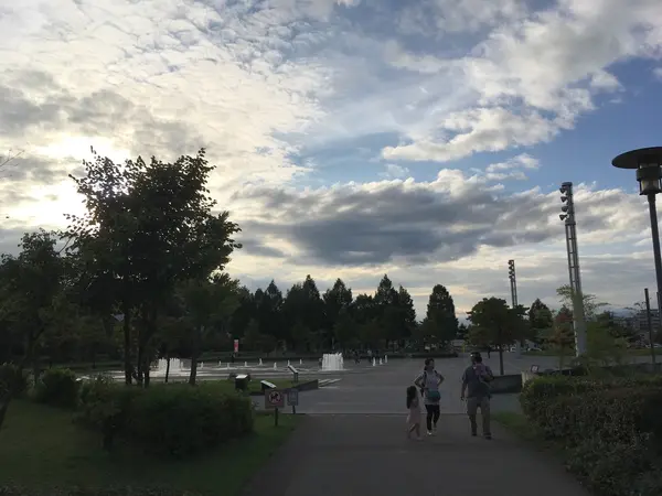 近くには大きな公園もあります