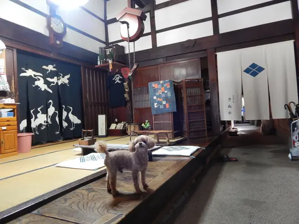 江戸時代から続く老舗
