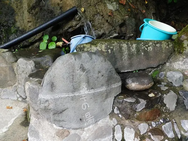 タヌキの湯