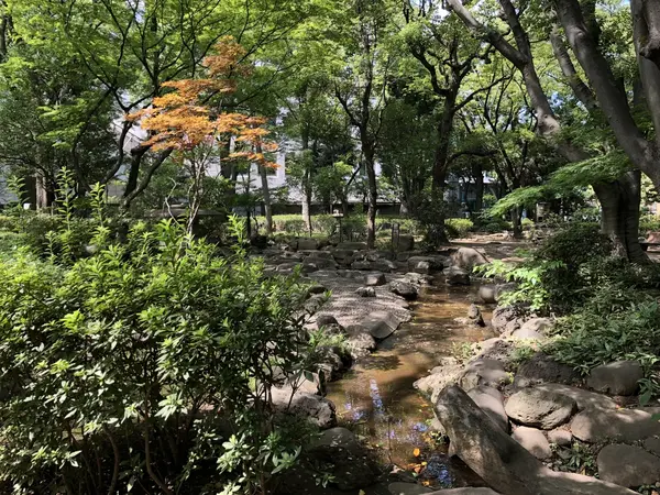 小川