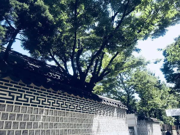 散歩にちょうど良い路