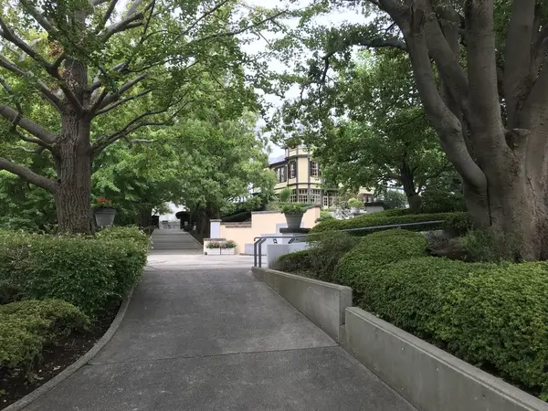 趣きのある道