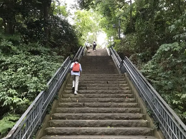 踊り場からの更なる仕打ち