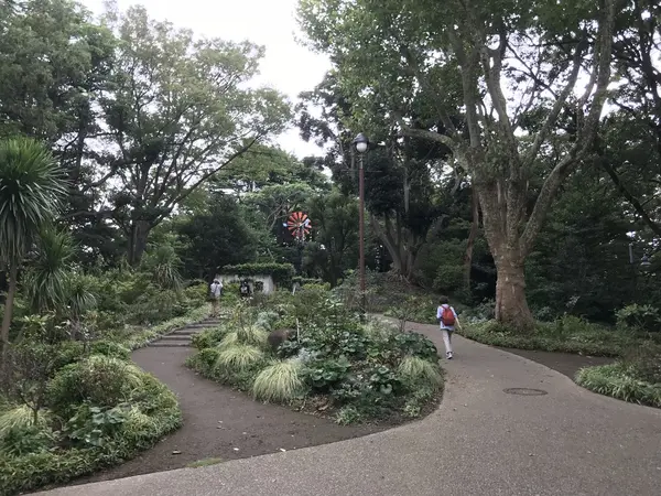 登り切ると山ですw