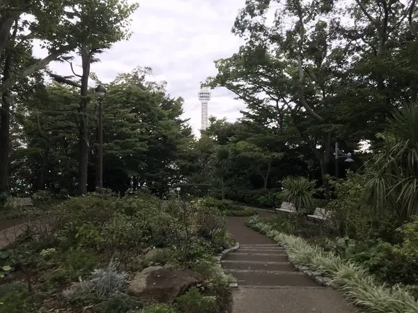 申し訳の展望