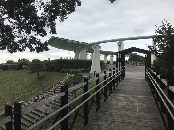見えましたね。
