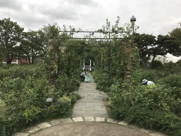 薔薇のアーチ
