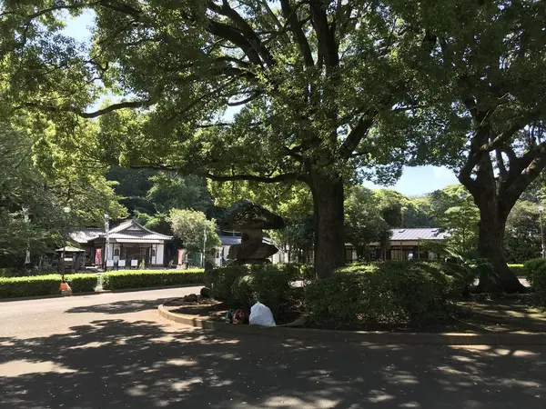 木漏れ日がキラキラしてます。