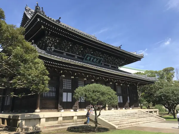 なので斜め前から