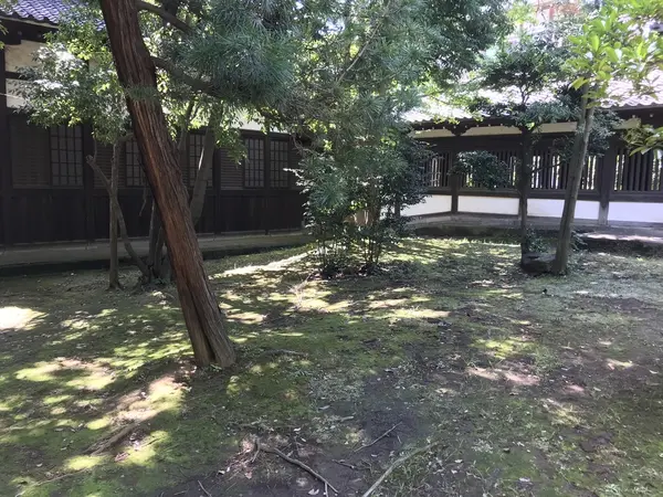 苔が美しいエリアです。