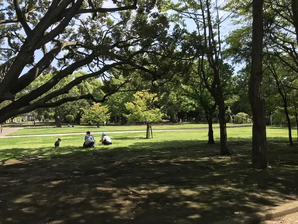 区民の憩いの場