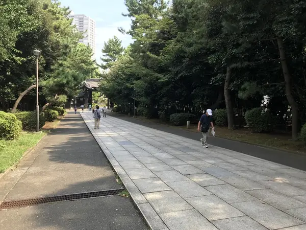 参道越しのシークレイン