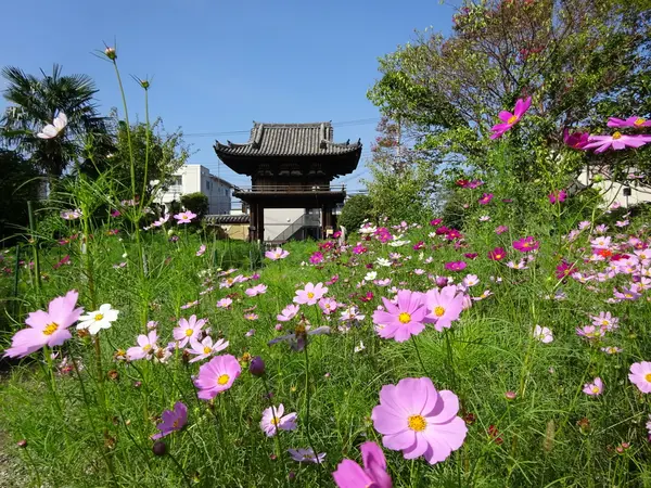国宝の楼門