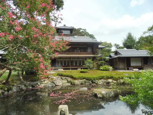 庭から建物を眺める