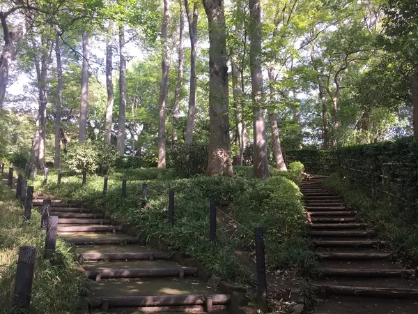 池を抜けると遊歩道🚶‍♀️ステップ低いので、小さい頃でも頑張れる！