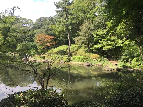風情のある池✨お魚も釣れる多識釣りをする人も！