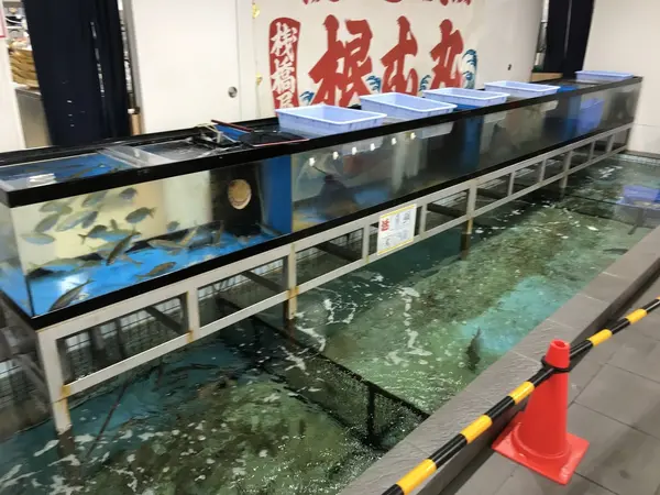 生簀を発見。