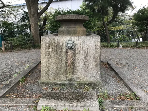 何でしょう？これはw