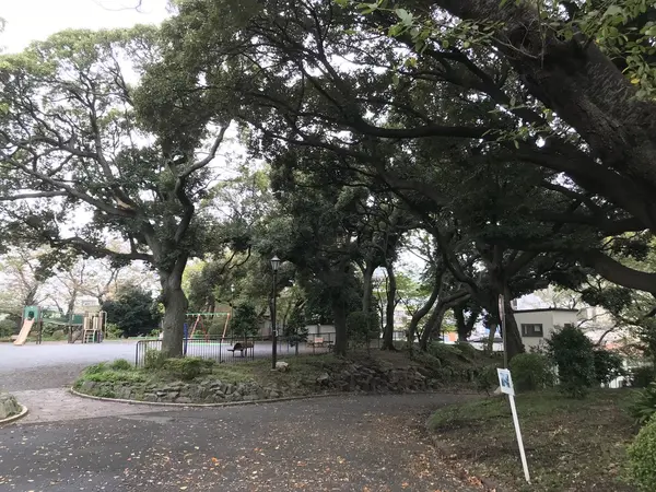 桜の古木が見事です。