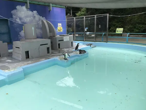 動物も撮っておかないとw