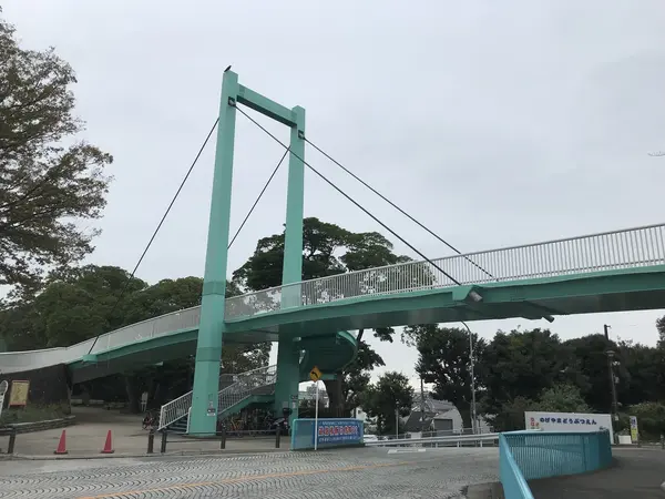 野毛山公園の中心