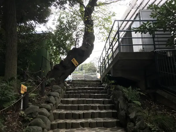 これ、絶対狙ってるだろw