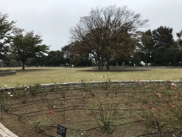 広大な芝生が広がります。