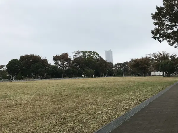 嫌と言う程見えますw