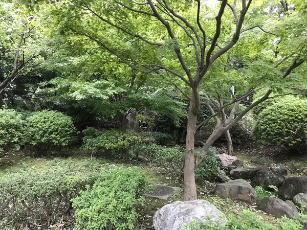 ちょっとした日本庭園風味