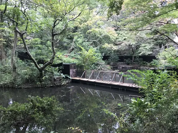 喫煙所近くの池