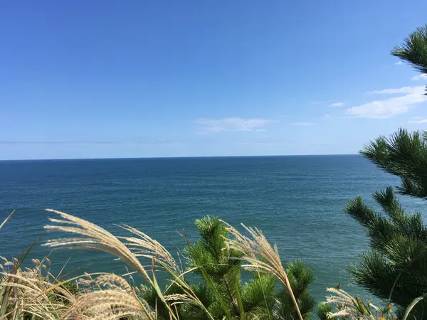 灯台から太平洋を眺望