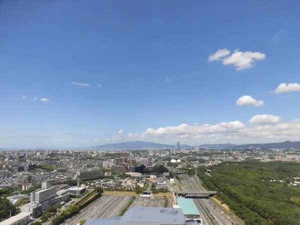 最上部付近からの景色