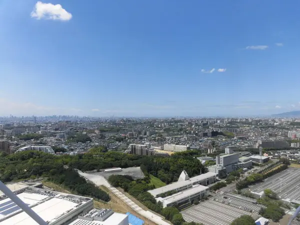 最上部付近からの景色