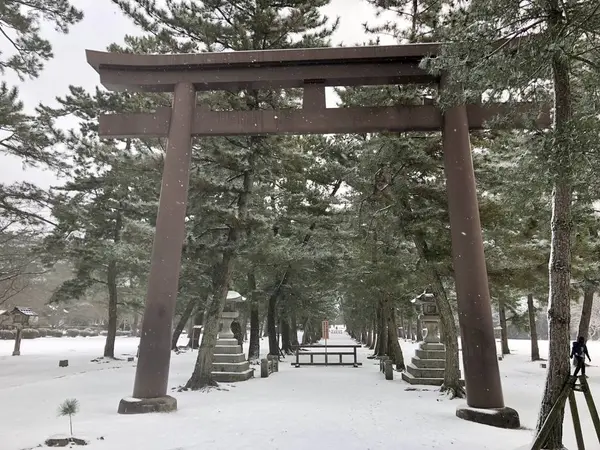 参道（松並木の参道）