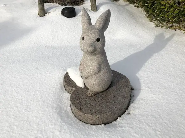 ハートの上のうさちゃん🐰