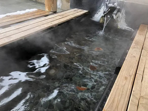 ついに発見、足湯♨︎