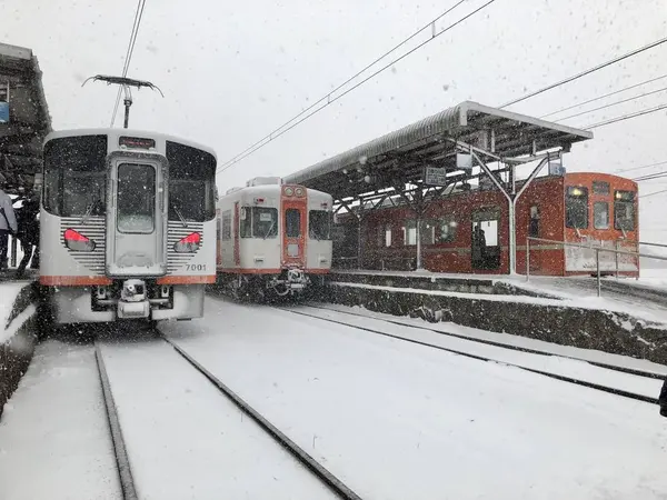 駅に止まる3車両