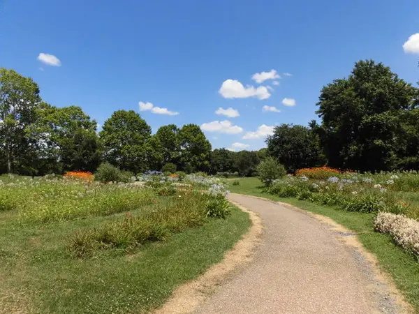 夏の花八景