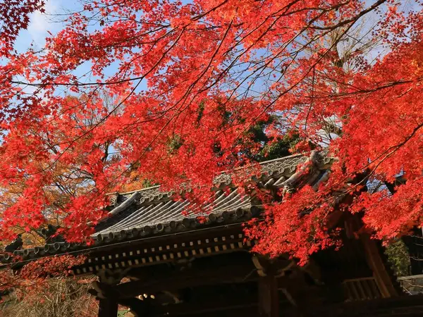 境内②