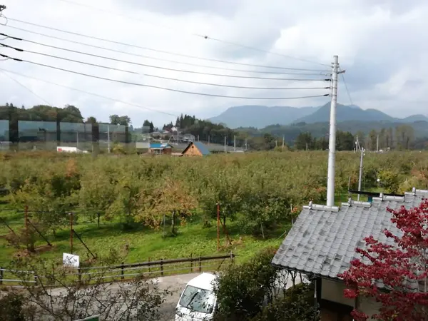 リンゴ園が見えます