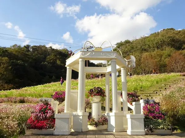 風の丘フラワー園