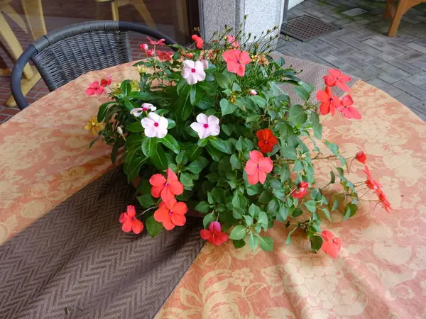 期間限定のガーデンカフェ