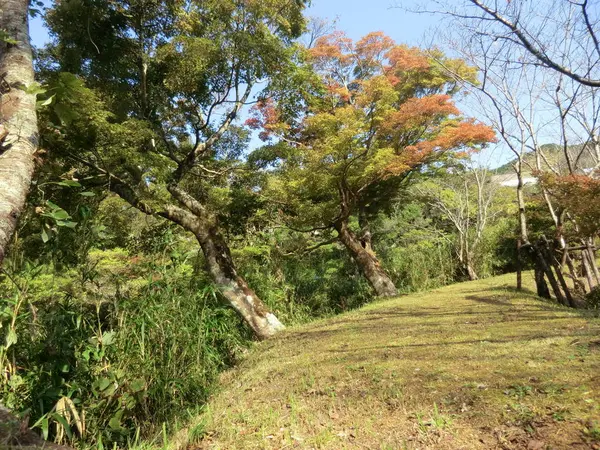 ふもと川沿いの遊歩道