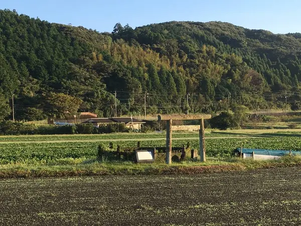 田んぼの中にぽつんと佇む豊玉姫陵