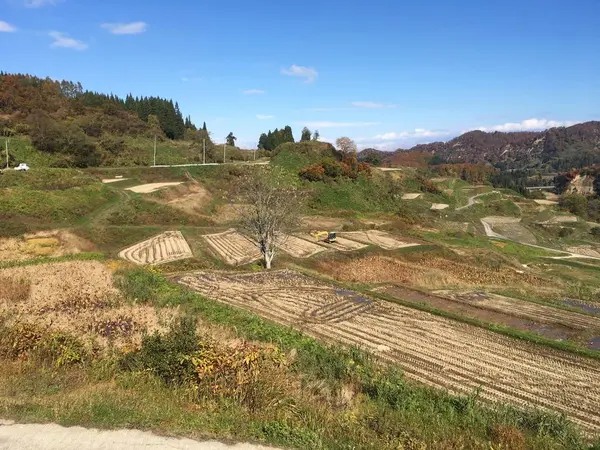 棚田